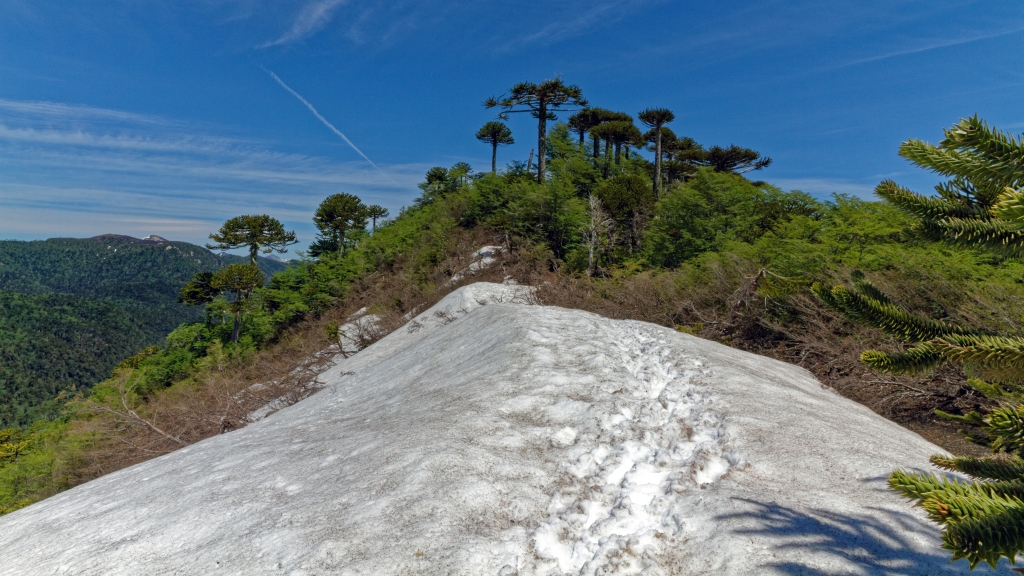 09 - Conguillio NP (8) - Sendero Sierra Nevada.jpg